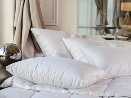 Подушка German Grass White Familie Down средняя 70х70